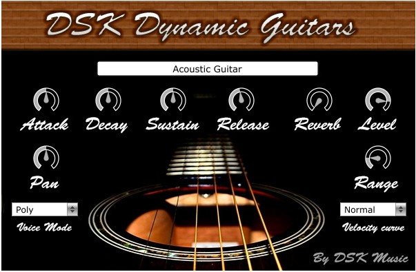 Dynamic Guitars